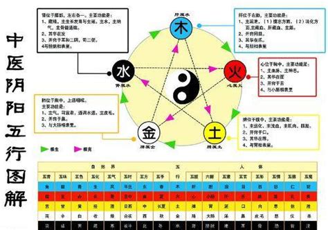 金生水原理|五行中为什么是金生水？